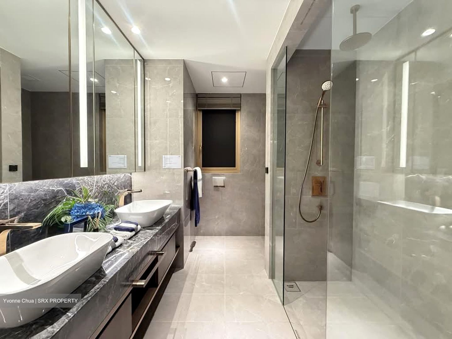Grand Dunman (D15), Apartment #576777061